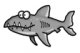   shark_