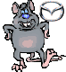   Rat