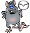 Аватар для Rat