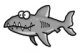   shark_